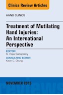 E-book Treatment Of Mutilating Hand Injuries: An International Perspective, An Issue Of Hand Clinics