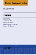 E-book Burns, An Issue Of Hand Clinics