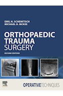 E-book Operative Techniques: Orthopaedic Trauma Surgery