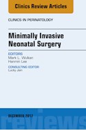E-book Minimally Invasive Neonatal Surgery, An Issue Of Clinics In Perinatology