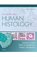 E-book Stevens & Lowe'S Human Histology