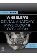 E-book Wheeler'S Dental Anatomy, Physiology And Occlusion