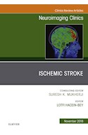E-book Ischemic Stroke, An Issue Of Neuroimaging Clinics Of North America