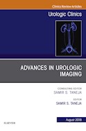 E-book Advances In Urologic Imaging, An Issue Of Urologic Clinics