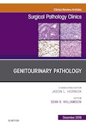 E-book Genitourinary Pathology, An Issue Of Surgical Pathology Clinics