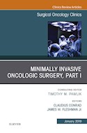 E-book Minimally Invasive Oncologic Surgery, Part I, An Issue Of Surgical Oncology Clinics Of North America
