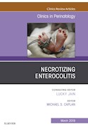 E-book Necrotizing Enterocolitis, An Issue Of Clinics In Perinatology