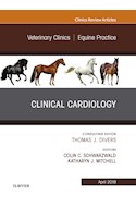 E-book Clinical Cardiology, An Issue Of Veterinary Clinics Of North America: Equine Practice