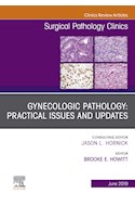 E-book Gynecologic Pathology: Practical Issues And Updates, An Issue Of Surgical Pathology Clinics