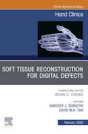 E-book Soft Tissue Reconstruction For Digital Defects, An Issue Of Hand Clinics