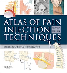 E-book Atlas Of Pain Injection Techniques
