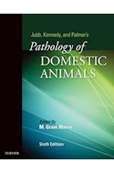 E-book Jubb, Kennedy & Palmer'S Pathology Of Domestic Animals