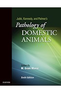 E-book Jubb, Kennedy & Palmer'S Pathology Of Domestic Animals: Volume 3