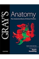 E-book Gray'S Anatomy