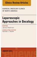 E-book Laparoscopic Approaches In Oncology, An Issue Of Surgical Oncology Clinics