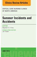 E-book Summer Issues And Accidents, An Issue Of Critical Care Nursing Clinics