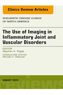 E-book The Use Of Imaging In Inflammatory Joint And Vascular Disorders, An Issue Of Rheumatic Disease Clinics