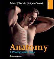 E-book Anatomy