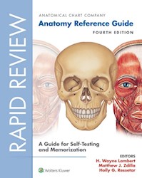 E-book Rapid Review: Anatomy Reference Guide