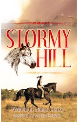  Stormy Hill