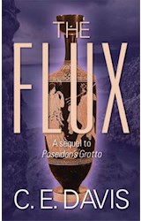  The Flux