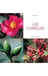  Las camelias - Cultivo y cuidados