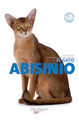  El gato Abisinio