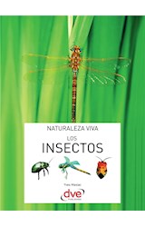  Los insectos