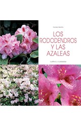  Los rododendros y las azaleas - Cultivo y cuidados