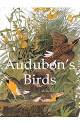  Audubon's Birds