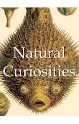  Natural Curiosities