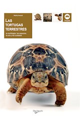  Las tortugas terrestres