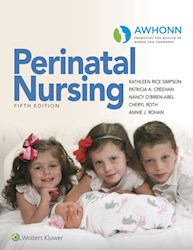 E-book Awhonn'S Perinatal Nursing