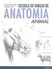 Papel Escuela De Dibujo De Anatomia Animal