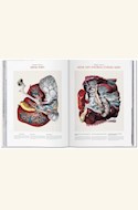 Papel ATLAS OF HUMAN ANATOMY AND SURGERY