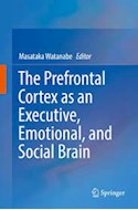 Papel The Prefrontal Cortex As An Executive, Emotional, And Social Brain