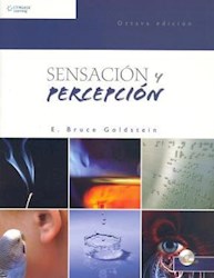 Papel Sensacion Y Percepcion 8° Edicion