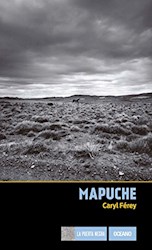 Papel Mapuche