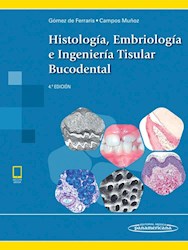 Papel Histología, Embriología E Ingeniería Tisular Bucodental Ed.4
