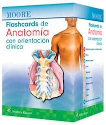 Papel Moore. Flashcards De Anatomía