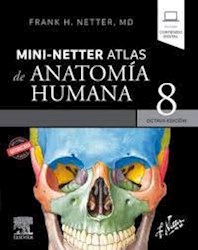Papel Mini Netter Atlas De Anatomia Humana