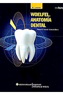 Papel Woelfel. Anatomia Dental Ed.8