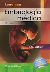 Papel Langman Embriologia Medica 13 Edicion