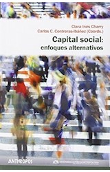 Papel Capital Social: Enfoques Alternativos