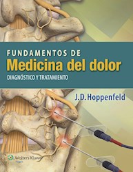 E-book Fundamentos De La Medicina Del Dolor: Diagnóstico Y Tratamiento