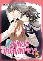 Papel Junjo Romantica Vol.6