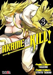 Papel Akame Ga Kill! Vol.3