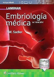 Papel Langman Embriología Médica Ed.14º