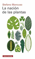 Papel Nacion De Las Plantas, La