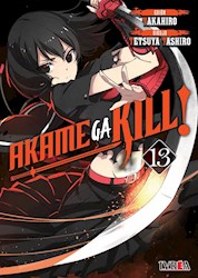 Papel Akame Ga Kill! Vol.13